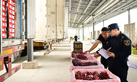 海關(guān)護(hù)航貿(mào)易暢行